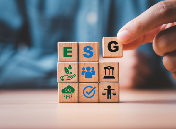 Holzklötze mit den Buchstaben „E“, „S“ und „G“ sowie Symbolen zu Umwelt, Soziales und Governance.