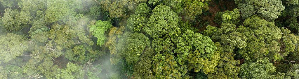 Houd de CO2-uitstoot in de gaten met CO2control.